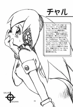 Page 35 of Salve Regina