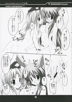 Page 13 of touhou usagi Syndrome Ro