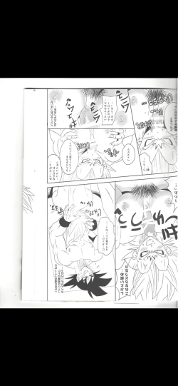 Page 8 of Making vegeta