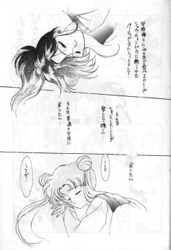 Page 31 of SAILORS ORANGE VERSION