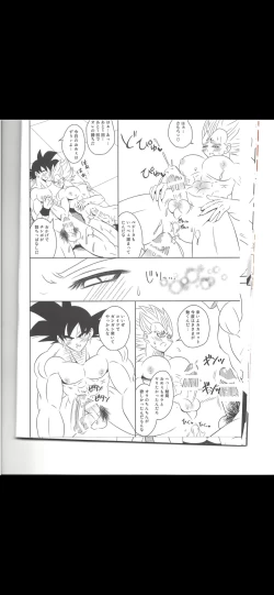 Page 13 of Majing vegeta
