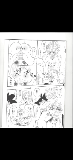 Page 5 of Majing vegeta