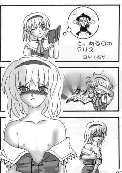 Page 39 of Shin Touhou Rankasai