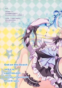 Page 19 of Cat on the Beach