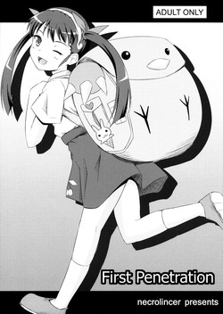 Download First Penetration