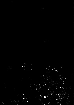 Page 24 of Zenbu Kimi no Sei da. II