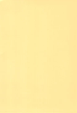 Page 4 of AlisanOff Asa made Ochinchin Review Namahousou