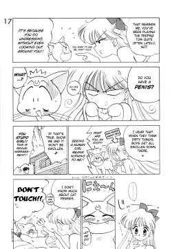 Page 19 of Submission Venus