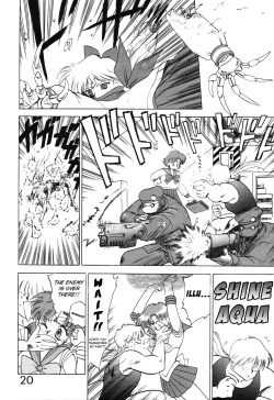 Page 22 of Submission Venus