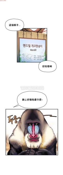 Page 345 of 中文韩漫 初恋豚鼠 ch.1-10