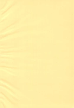 Page 4 of Shinsetsu Tamers