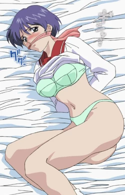 Page 14 of Daraku kanzenhan