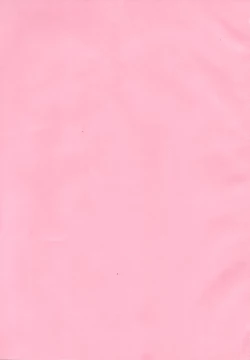 Page 3 of Ochikobore Succubus