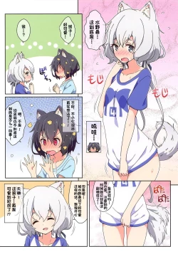 Page 4 of Cat Land SAGA