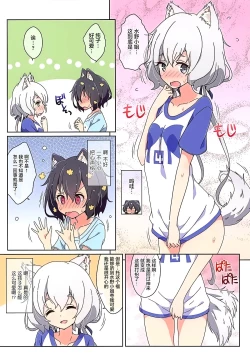 Page 4 of Cat Land SAGA