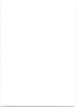 Page 2 of SSSR Super Special Sex Resort Junbigou.