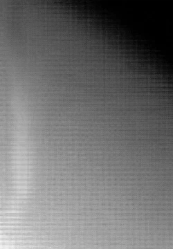 Page 18 of Wolf Sheep Lesson