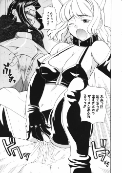 Page 27 of Mesuniku no Inshuu