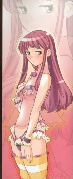 Page 4 of Mesuniku no Inshuu