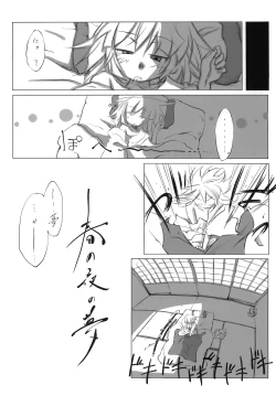 Page 28 of Touhou Jii Goudoubon "Hitori Gensou"