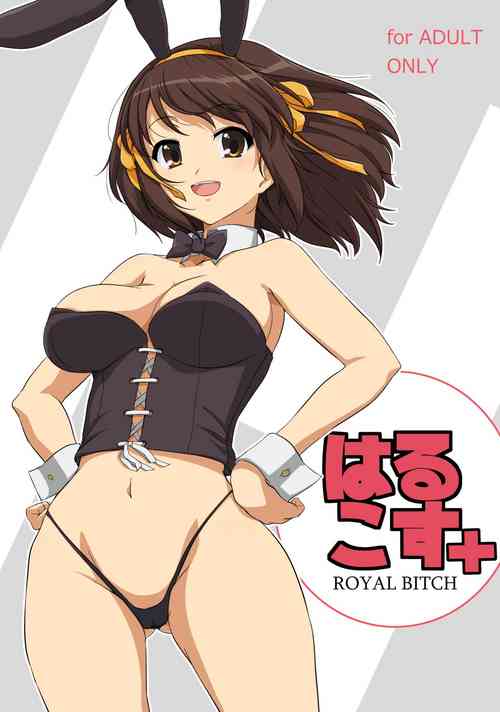 Download Harucos+