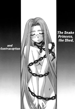 Page 5 of Yappari Rider wa Eroi na. 2+5 | As Expected Rider is Erotic 2+5