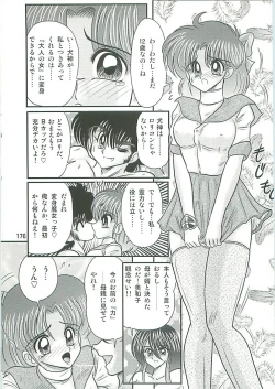 Page 179 of Seirei Tokusou Fairy Saber W Inukami to Innyuu