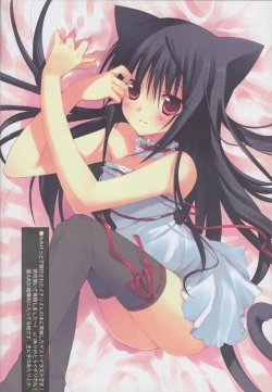 Page 15 of Dai wa Shou o Kanenai.