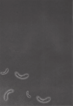 Page 48 of Chikai to yakusoku