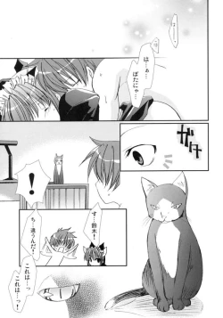 Page 28 of Neko ni Naritai