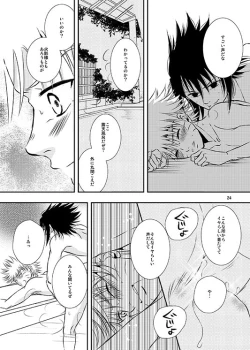 Page 21 of Shikijitsu