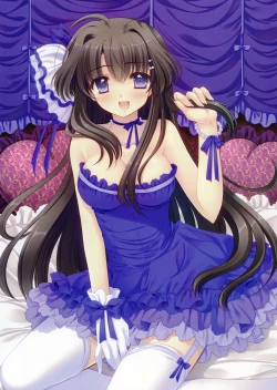 Page 17 of Tsuki ni Yorisou Otome no Sahou official visual fanbook