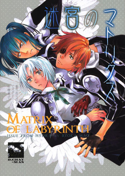 Download The Matrix of Labirynth