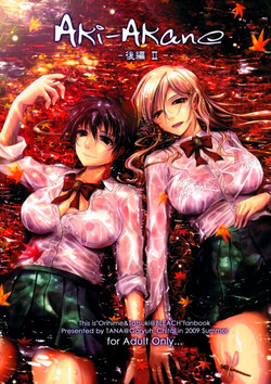 Download AkiKouhen II-