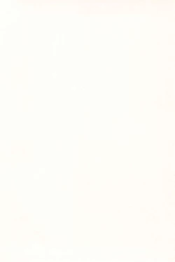 Page 200 of Tsugou ga Yokute Kawaii Mesu.