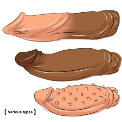 Page 13 of DR. Omonemushi
