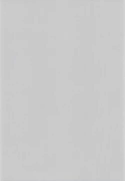 Page 29 of Hogo Kansatsu Doumei