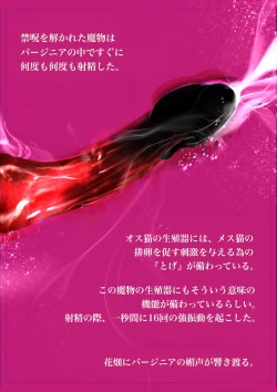 Page 27 of Salem & Virginia