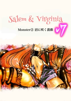 Page 28 of Salem & Virginia