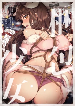 Page 2 of Konpou Shoujo 4