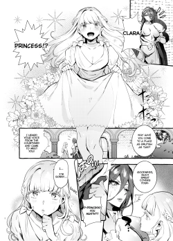 Page 3 of Ochinpo Onna Knight to Shojo Hime | The Princess and the Knight of the Dick