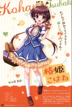 Page 49 of Floral Flowlove Visual Fanbook