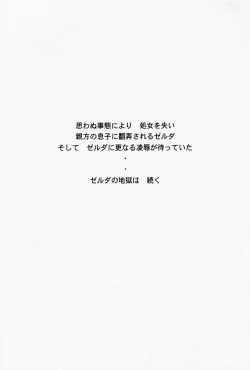 Page 24 of NISE Zelda no Densetsu Prologue