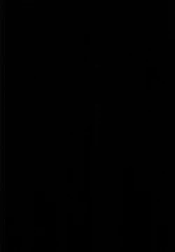 Page 13 of Hikawa Sayo Ryoujoku Goudoubon