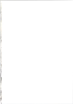 Page 2 of Star Twinkle PuniCure 2