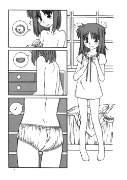 Page 3 of Nanoha no Hon