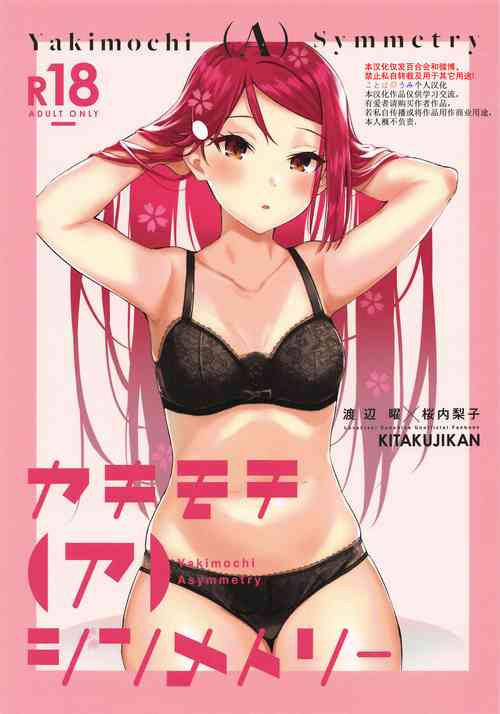 Download YakimochiSymmetry