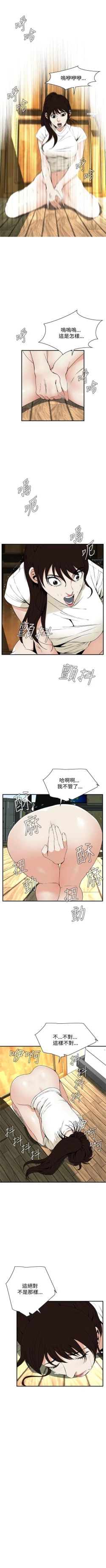 Page 271 of 偷窥  0-50 中文翻译 （更新中）