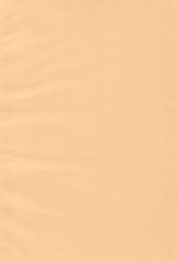 Page 4 of White Azalea