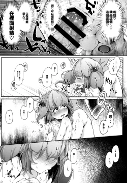 Page 24 of Nitorare II